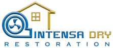 Intensa Dry