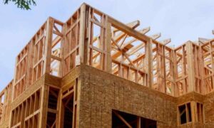 Choosing the Right Flooring for Your Reconstructed Plano Home