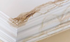 How to Identify Water Damage Early in Your Plano Property