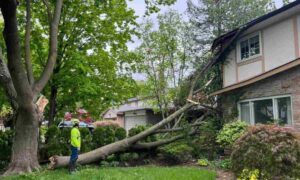 The Role of Professional Mitigation Services in Plano, TX