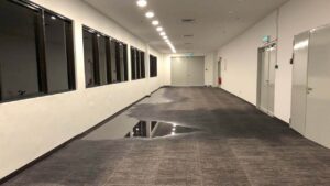 How to Identify Hidden Water Damage in Your Plano Home