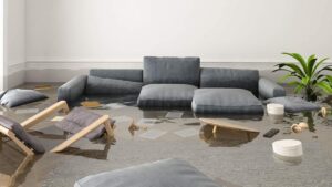 “Plano’s Top Five Water Damage Restoration Myths Debunked