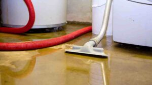 Preventing Secondary Damage During Water Damage Cleanup