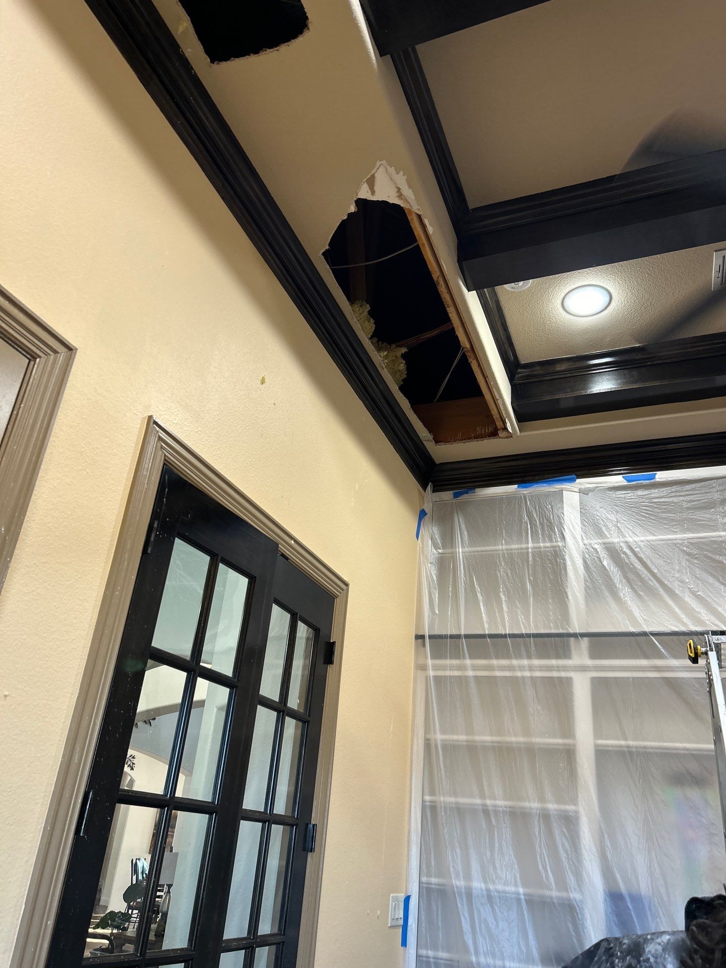 Water Damage on Ceiling in Texas