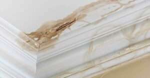What steps should I take immediately after discovering water damage?