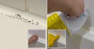 How do I know if I need water damage restoration services?