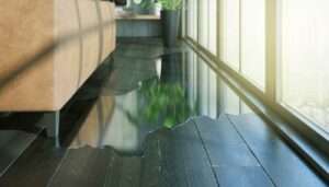 Health Risks of Untreated Water Damage in Plano Homes