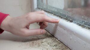 “Health Risks of Untreated Water Damage in Houston Homes”