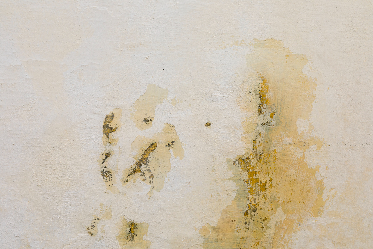 Water Damage