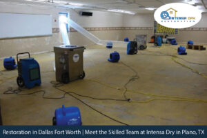 Restoration in Dallas Fort Worth | Meet the Skilled Team at Intensa Dry in Plano, TX