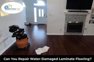 Can You Repair Water-Damaged Laminate Flooring?