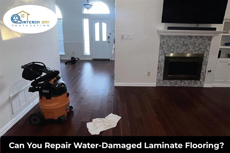 Can You Repair Water-Damaged Laminate Flooring?