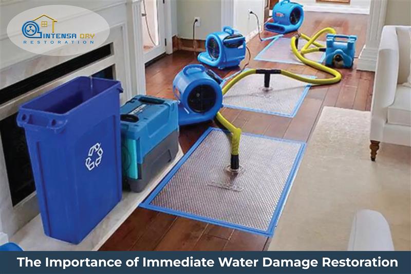 The Importance of Immediate Water Damage Restoration