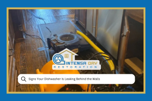 Signs Your Dishwasher Is Leaking Behind the Walls