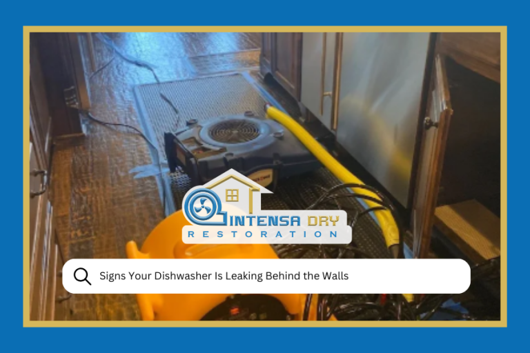 Signs Your Dishwasher Is Leaking Behind the Walls