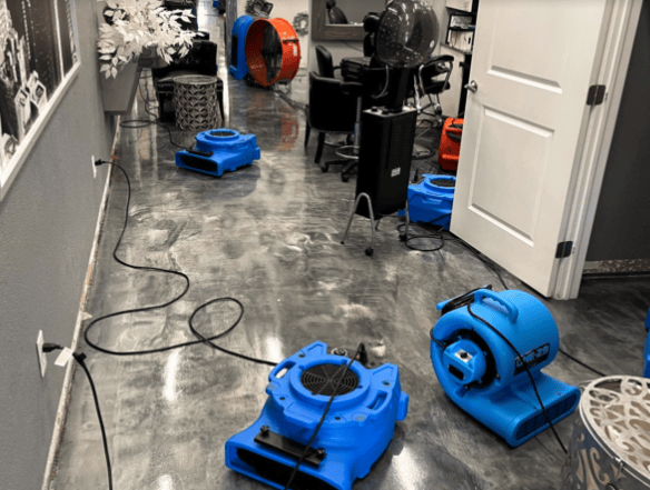 Trusted Local Water Damage Restoration Company