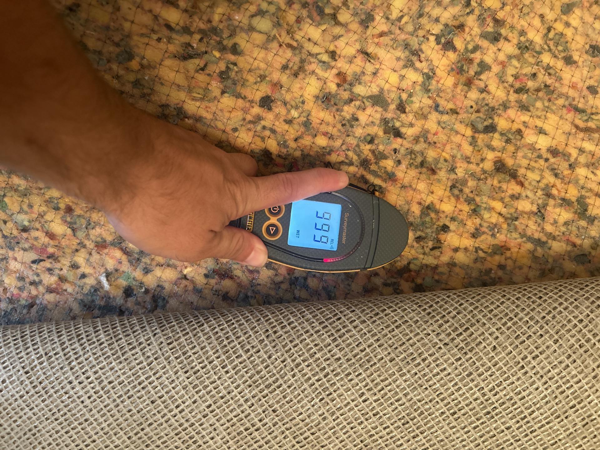 Dining room carpet removal