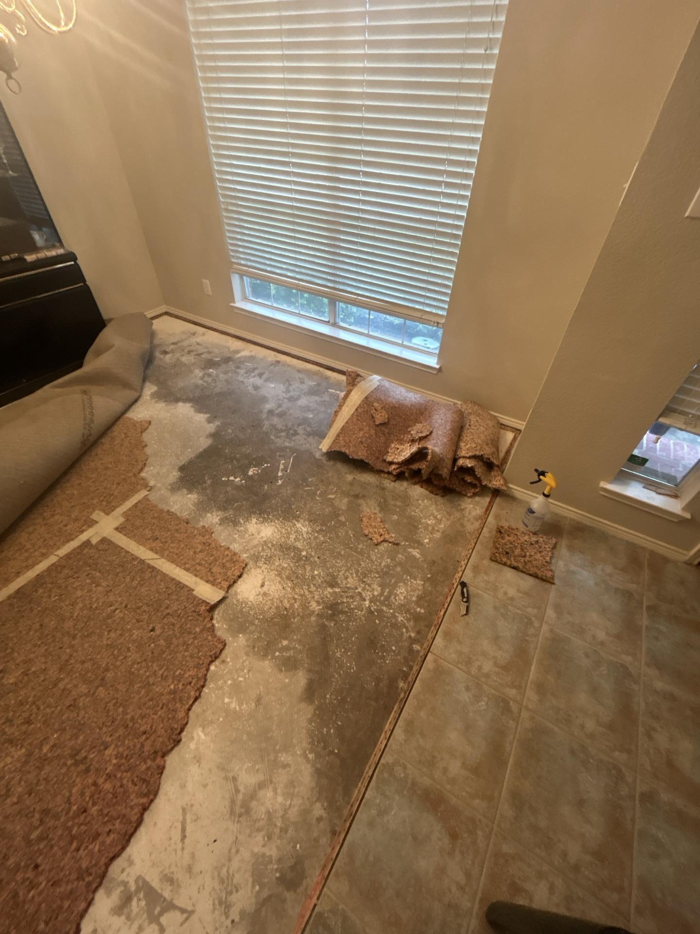 Dining room drying equipment placement