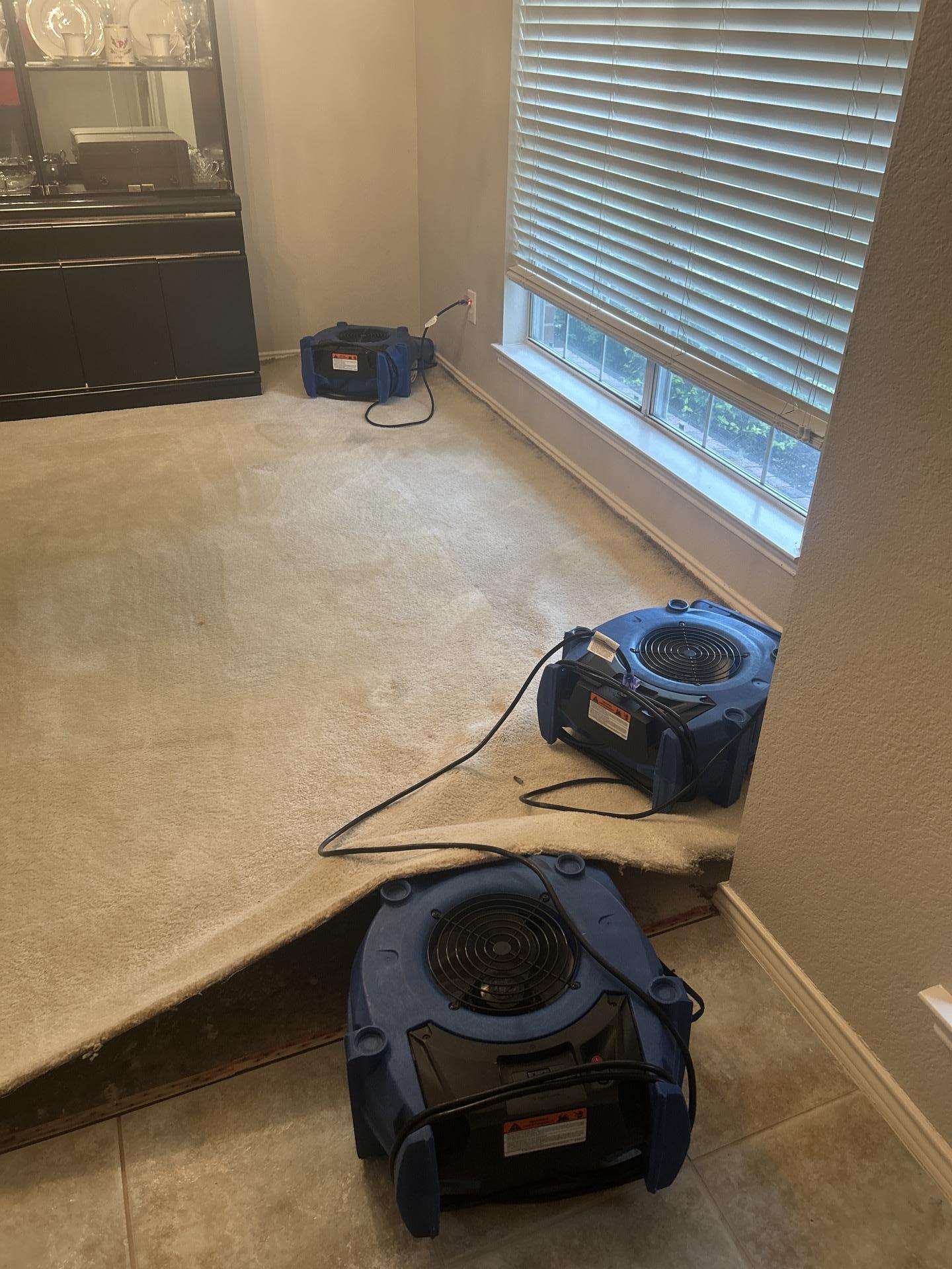 Dining room structural drying