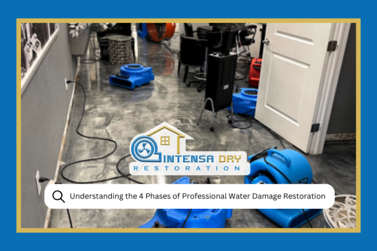 Understanding the 4 Phases of Professional Water Damage Restoration