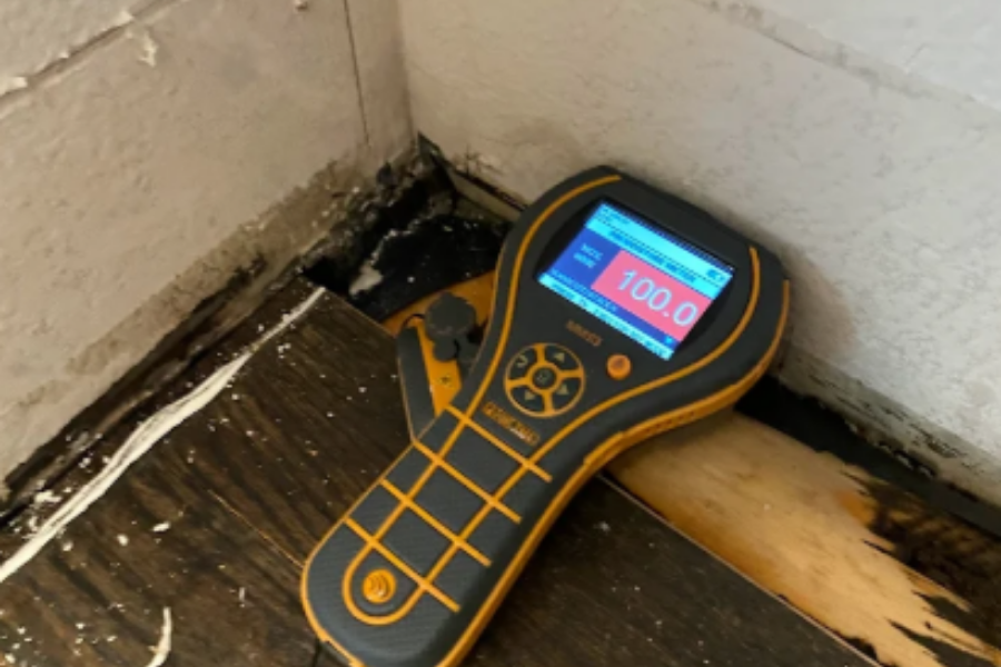 Warped hardwood flooring and water-stained drywall showing moisture damage