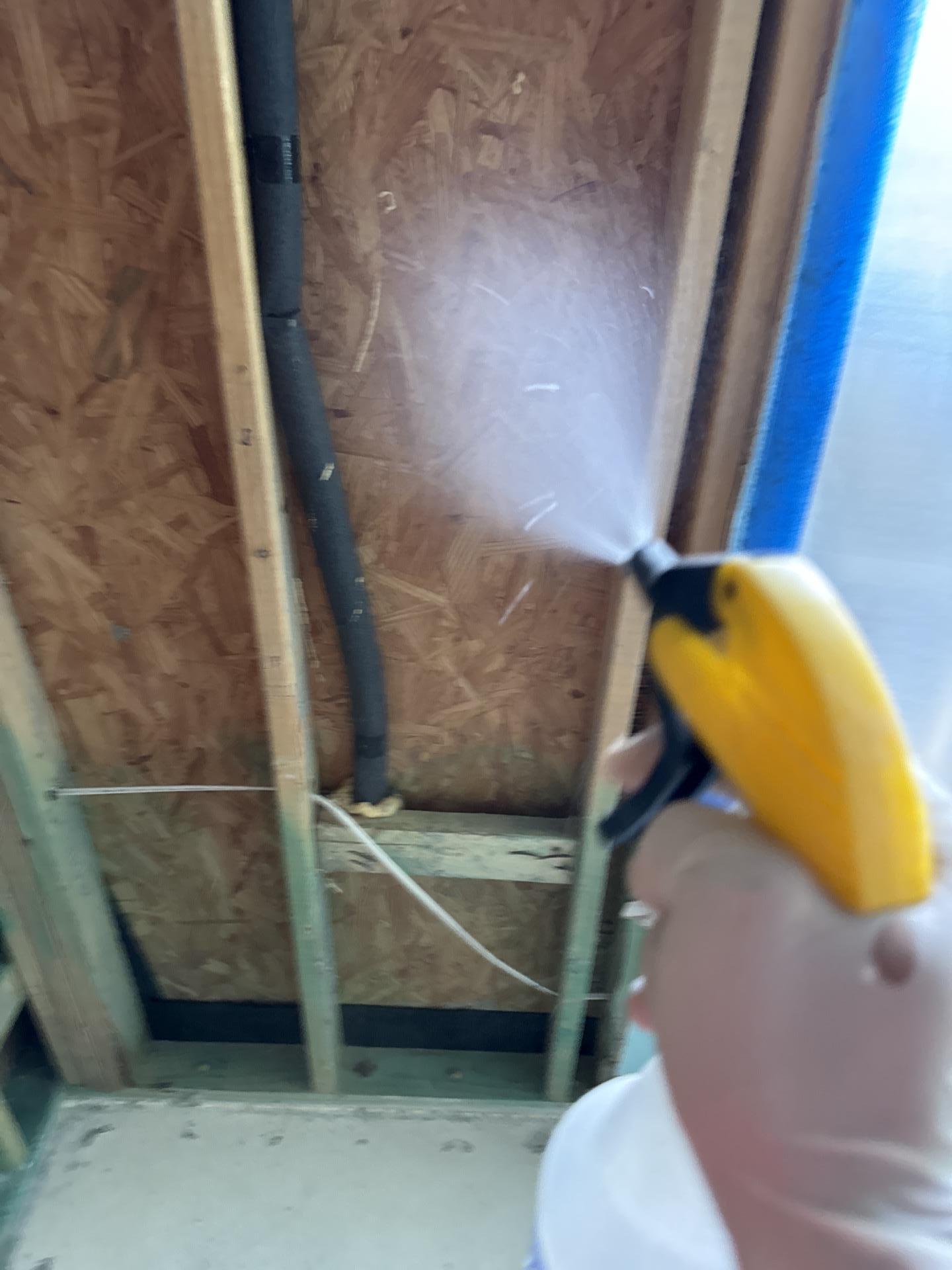 Antimicrobial treatment being applied after cleanup