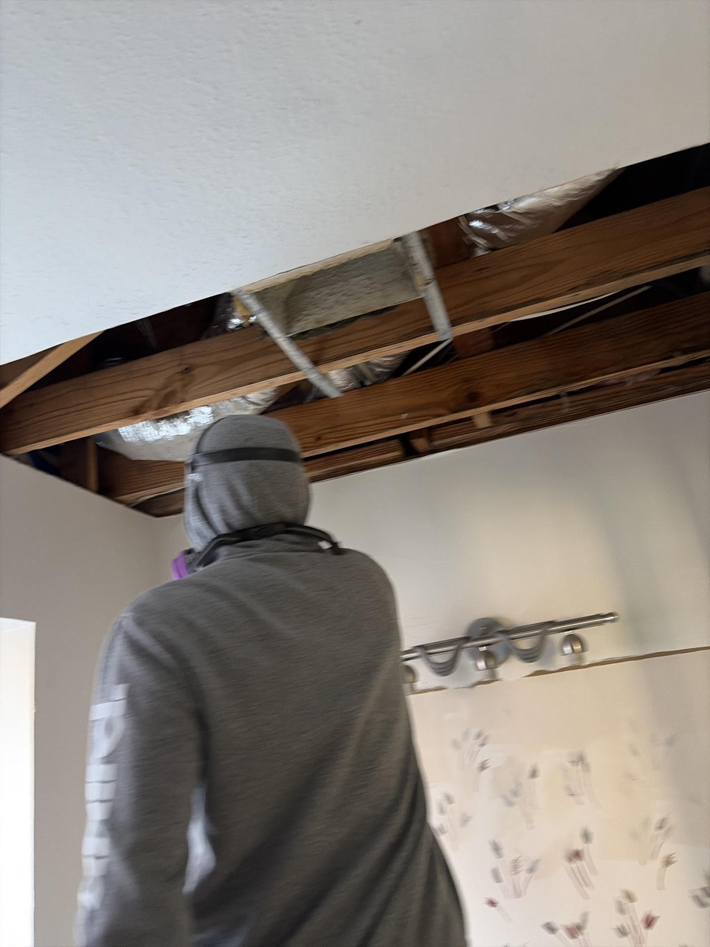 Ceiling demolition revealing water damage extent