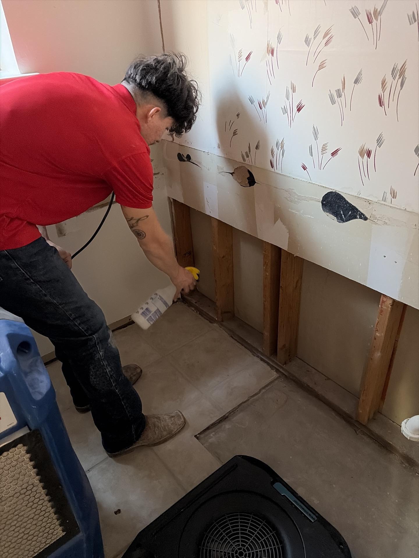 Technician treating affected surfaces