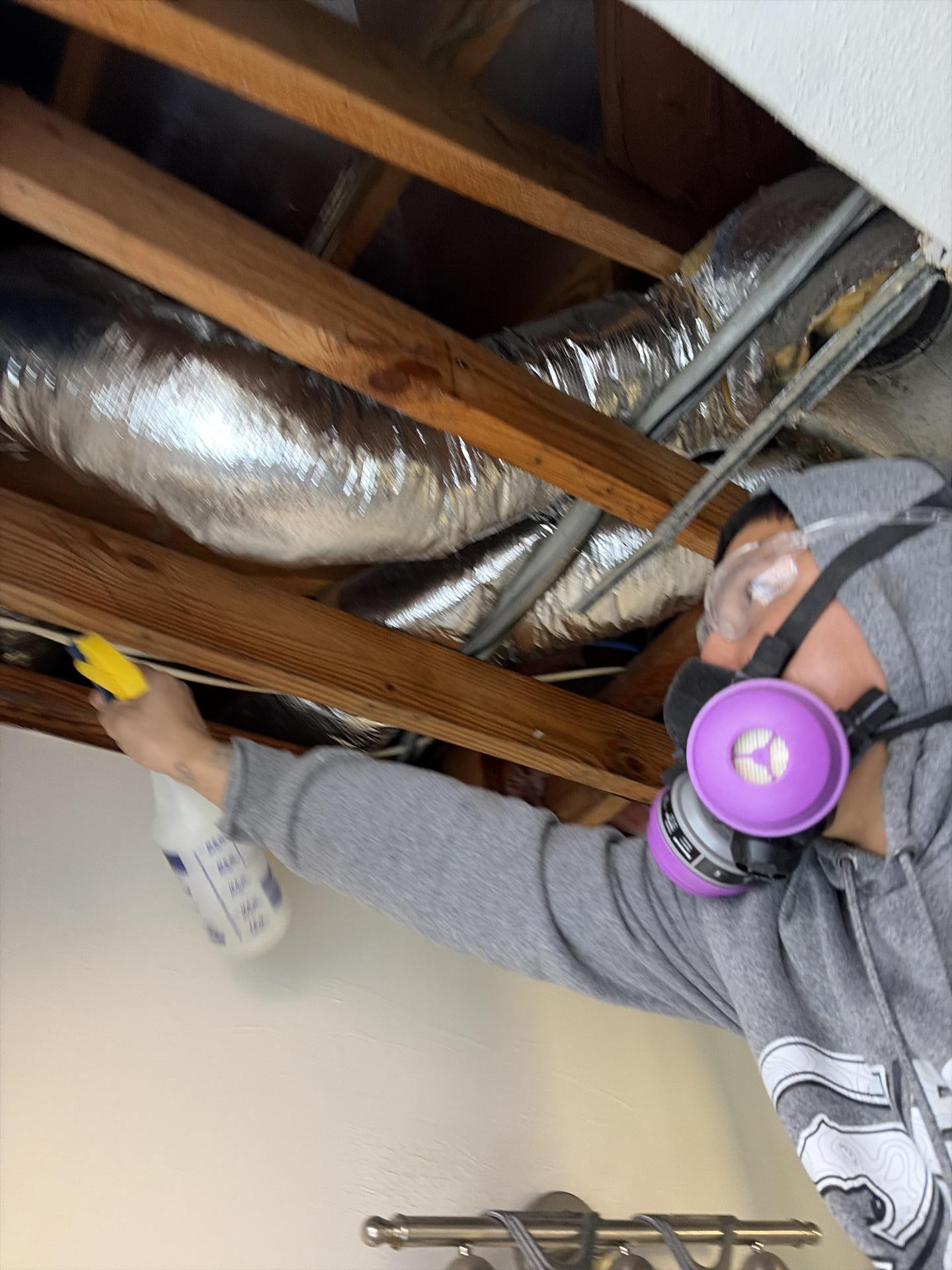 Application of antimicrobial treatment