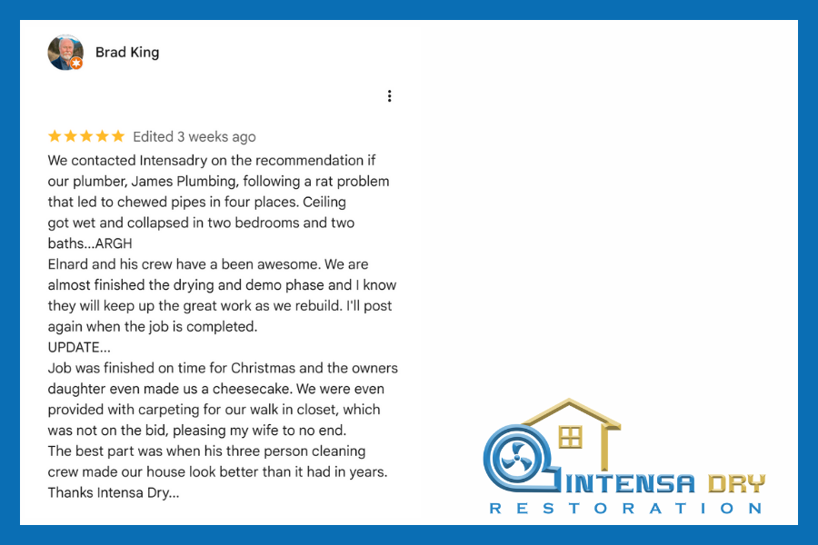 Five-star Google review from Lucas homeowner praising Intensa Dry Restoration service