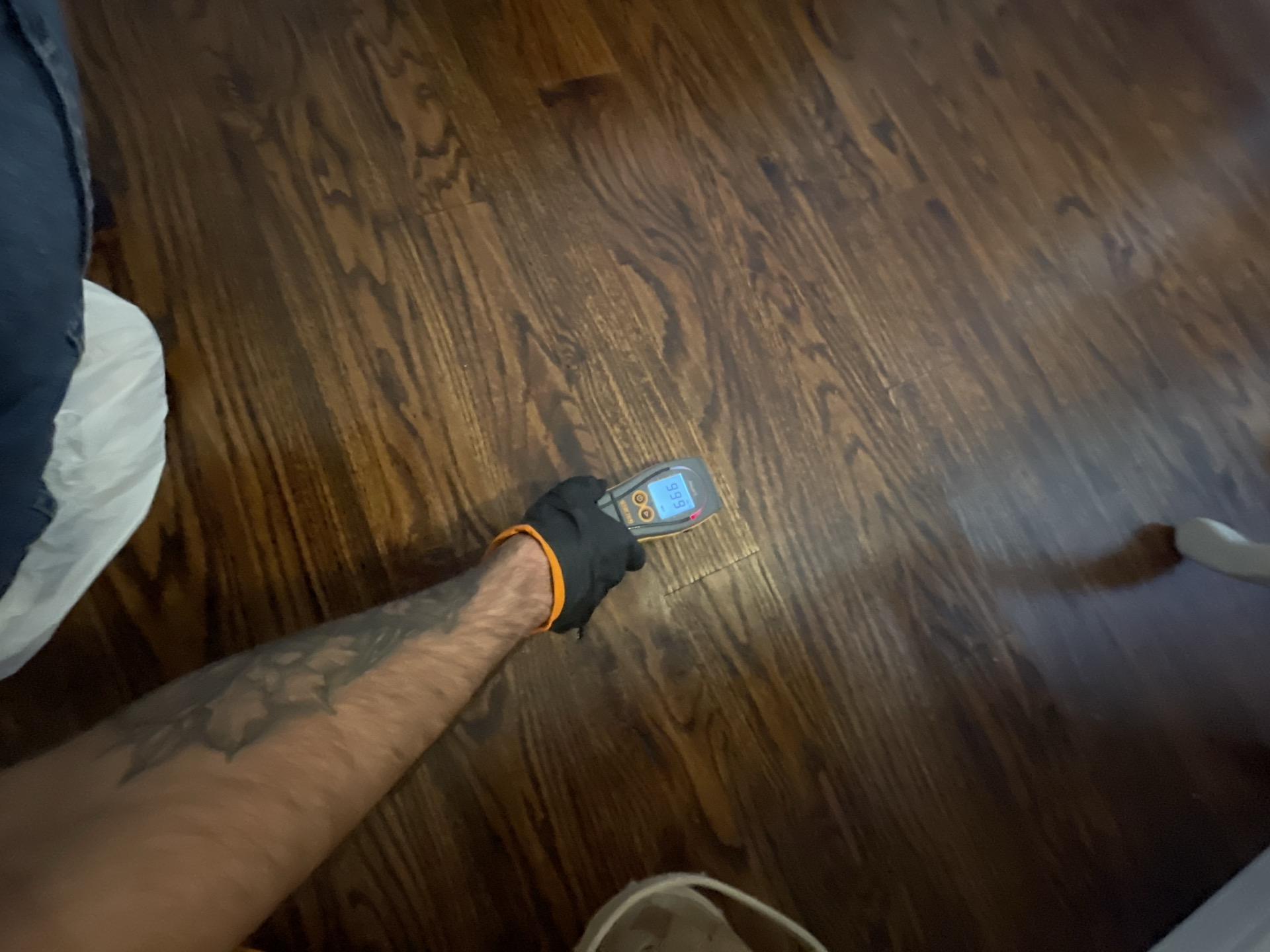 Moisture meter reading elevated levels in living room flooring after dishwasher water damage