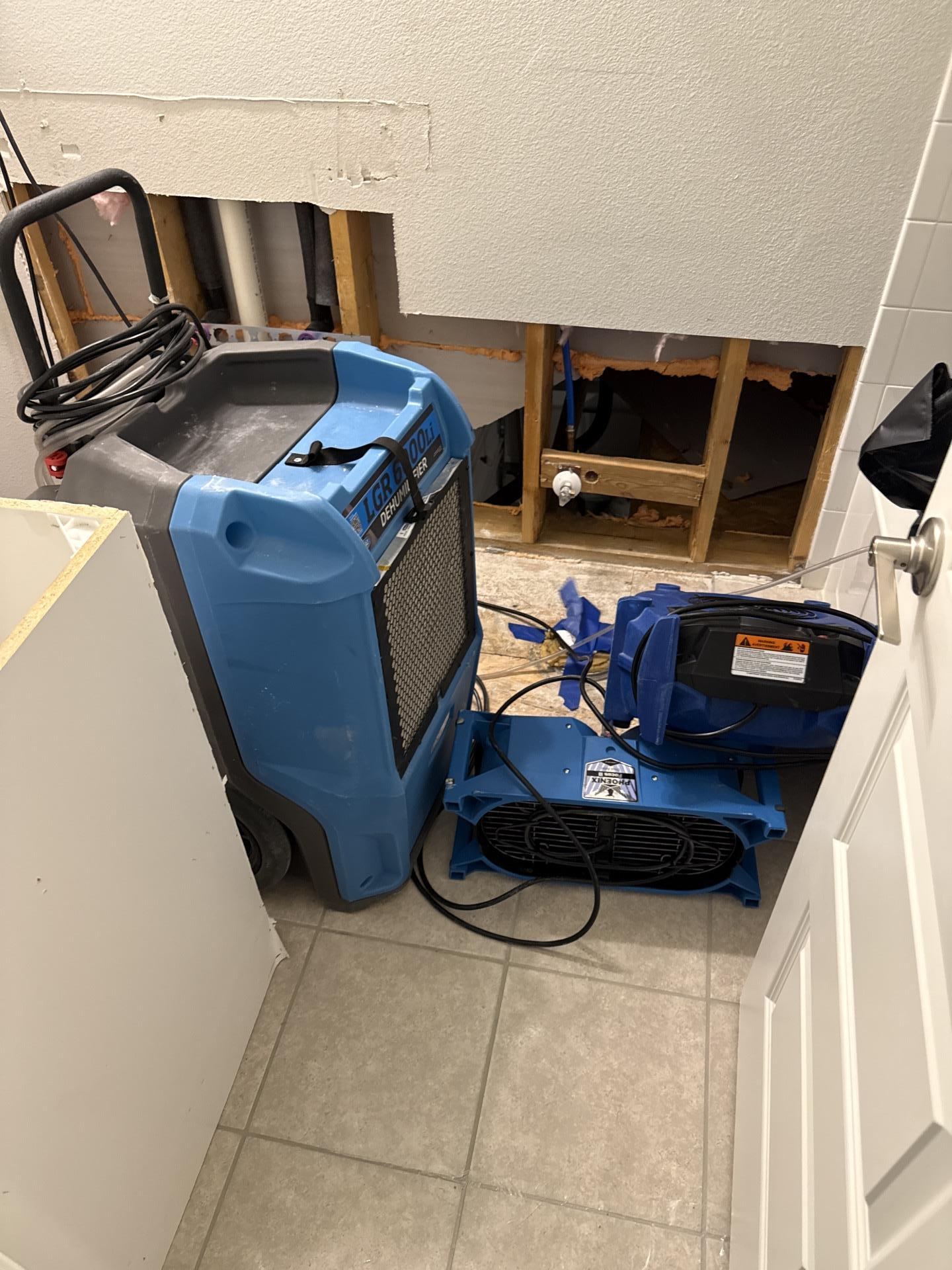 Dehumidifier setup