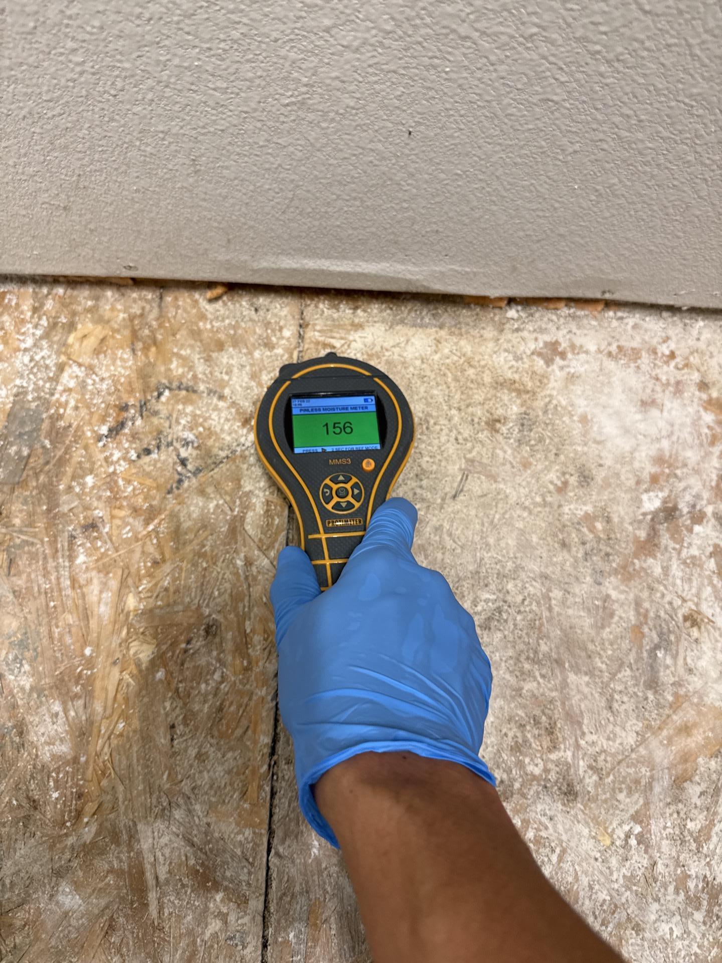 Post-mitigation moisture reading