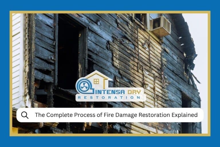 Process of Fire Damage Restoration