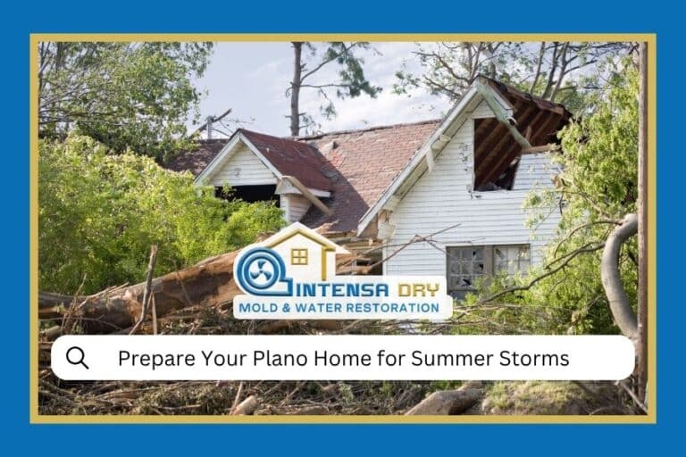 Summer Storm Preparation
