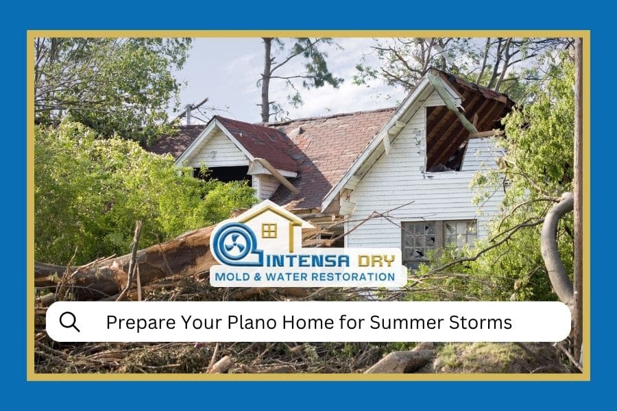 Summer Storm Preparation
