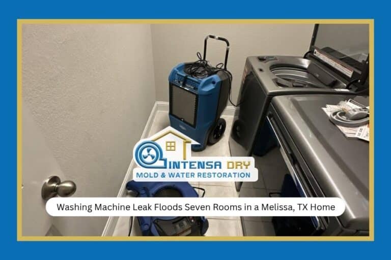 Washing Machine Leak Floods Seven Rooms in a Melissa, TX Home