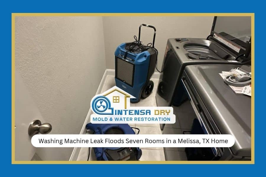 Washing Machine Leak Floods Seven Rooms in a Melissa, TX Home