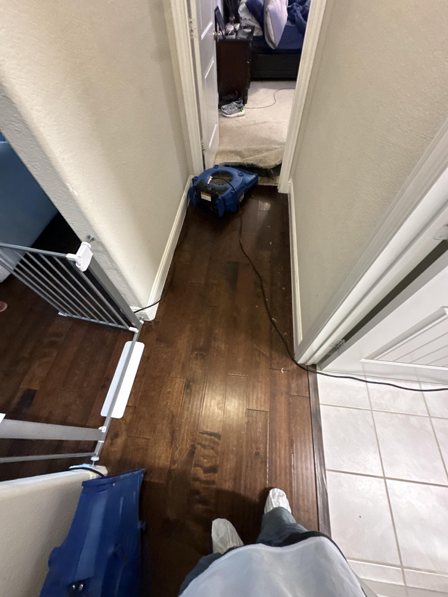Hallway hardwood flooring showing water damage from laundry room leak in Melissa TX