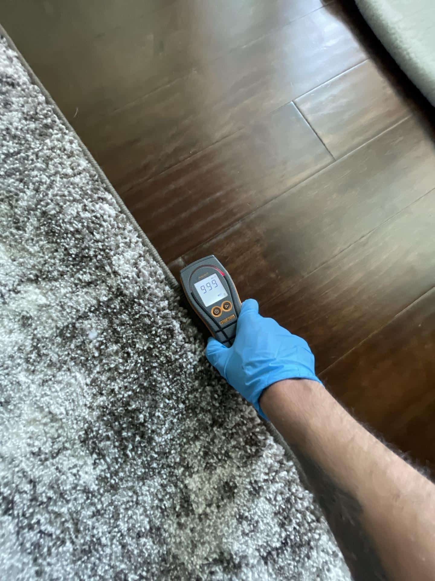 Moisture reading on living room hardwood flooring during drying process