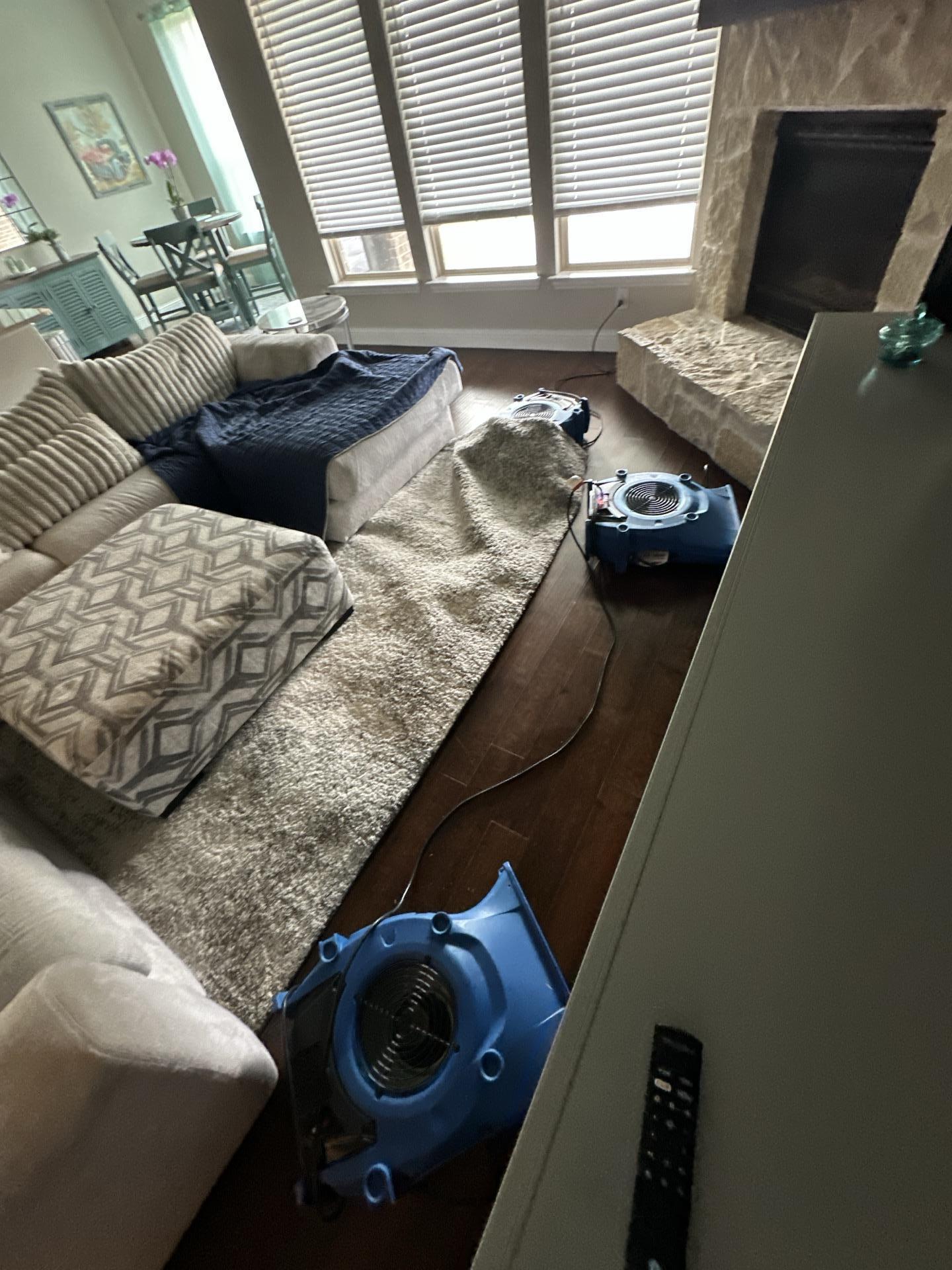 Professional drying equipment positioned on living room carpet