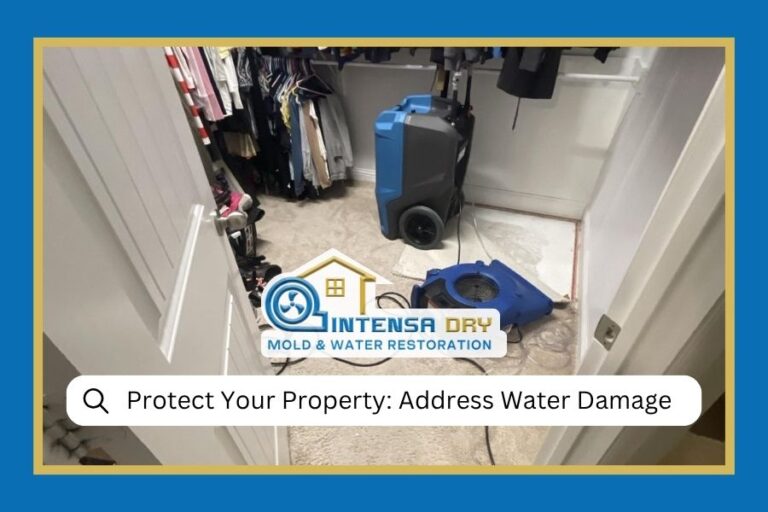 The Impact of Untreated Water Damage on Property Values