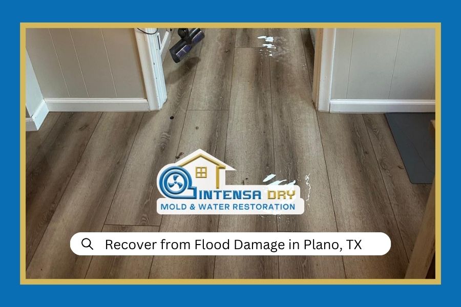 Recover After Flood Damage in Plano