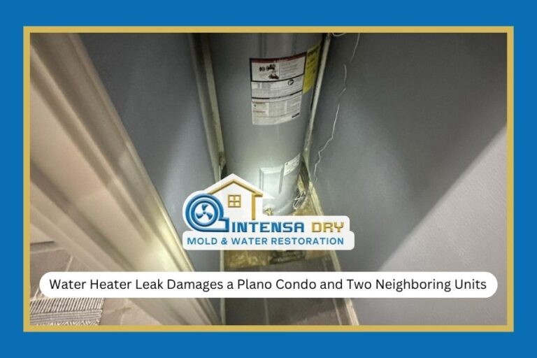 Water Heater Leak Damages a Plano Condo and Two Neighboring Units