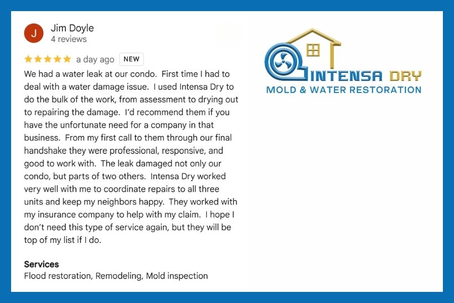 Five star Google review from a grateful Intensa Dry customer after condo water damage restoration