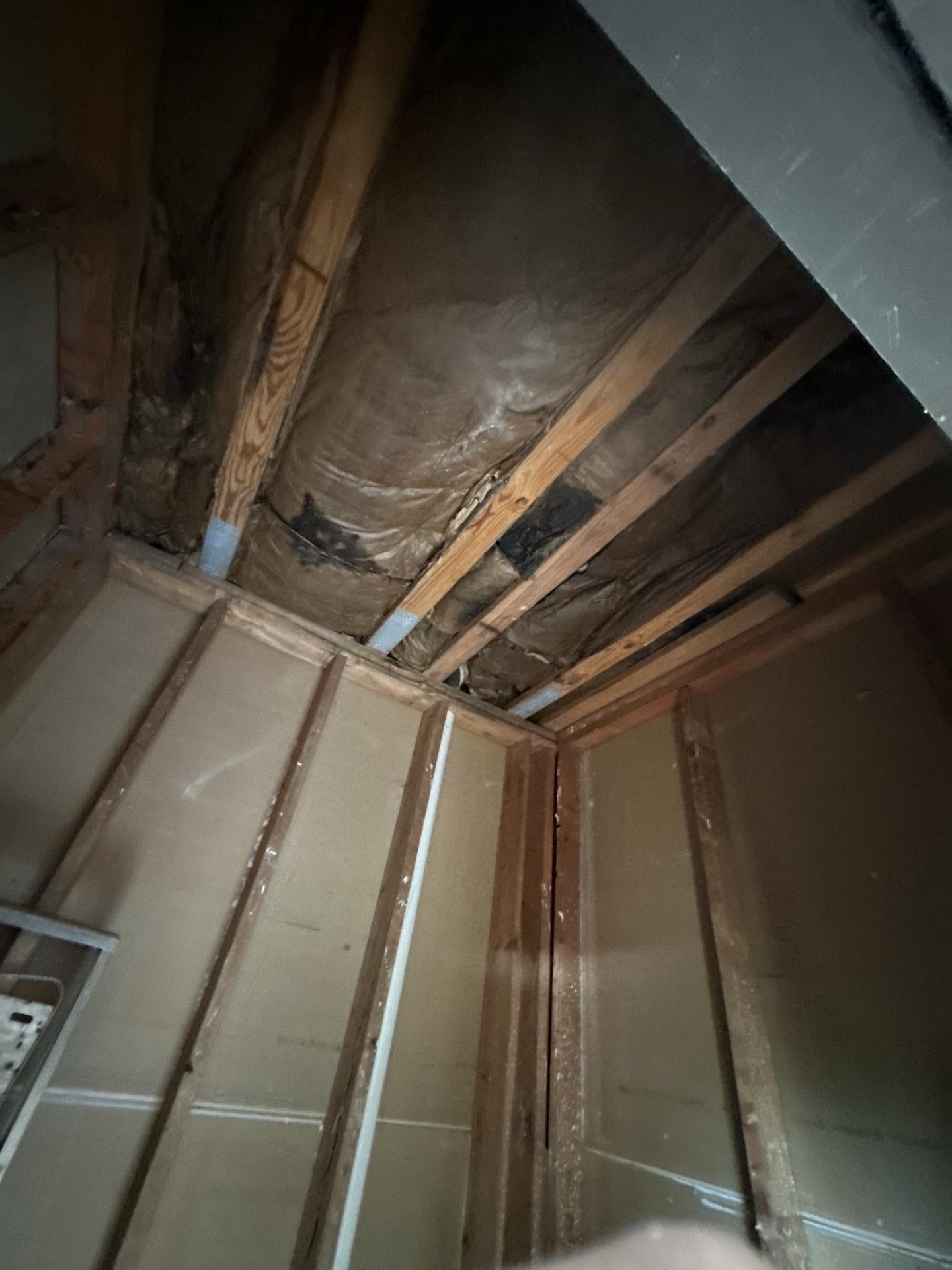 Ceiling and drywall demolition in the second outside closet