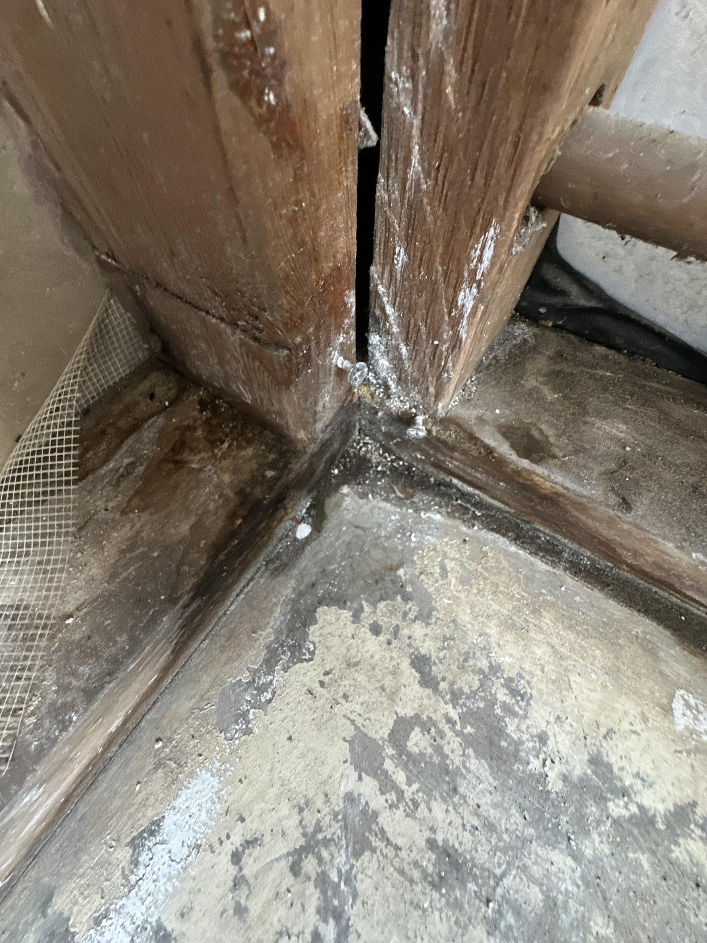 Water damage revealed behind the wall after initial demo in the closet