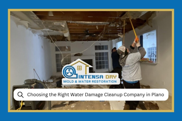 Choosing the Right Water Damage Cleanup Company in Plano