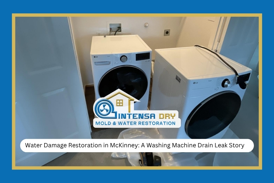 Water Damage Restoration in McKinney: A Washing Machine Drain Leak Story