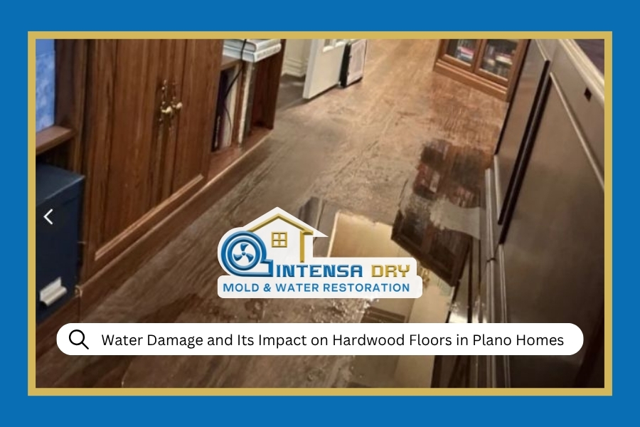 Water Damage and Its Impact on Hardwood Floors in Plano Homes